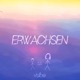 Erwachsen Single