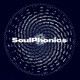 Soulphonics