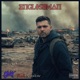 Englishman feat Antidote Single