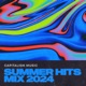 Capitalism Music Summer Hits Mix 2024 EP