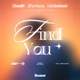 Find You feat Jaime Deraz Single