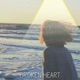Broken Heart Single