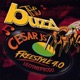 Freestyle 4 0 The Buzz Riddim Single
