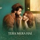 Tera Mera Hai Pyar Single