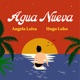 Agua Nueva Single