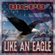 Like an Eagle Single