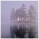 Lost Single