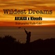 Wildest Dreams feat Klouds Instrumental Radio Edit Single