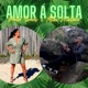 Amor A Solta feat Alibi Montana Single