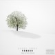 Money Trees Single