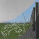 Still Flowers Growin Single