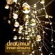 Draumur Innan Draums Single