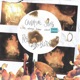 Campfire Song it s always been about smoke Single