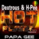 Hot Flame Remix Single
