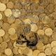 What Now feat Sniper Single