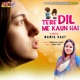 Tere Dil Me Kaun Hai Single