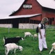 The Barn Flow Single
