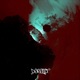 Derelict VIP Mix Single