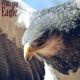Eagle Single