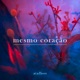 Mesmo Coração Single