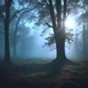 follow Single