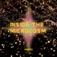 Inside the Microcosm Single