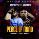 Peace of Mind feat Jaredo Single