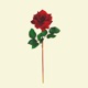 Love Letter Single