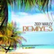 Remixes Single