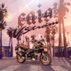 V Strom Single