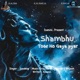 Shambhu Tose Ho Gaya Pyar Single
