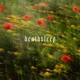 Wilted Devotion Single