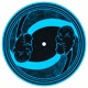 Mr Miyagi Single