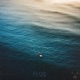Fluid Single