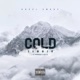 Cold Summer feat Biv Da Great Sosa YB Single