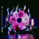 Club Maniac Single