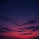 summer night Single