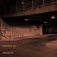 Frailty Single