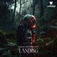 Landing Single