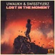 Lost in the Moment Single