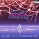 Ain t Perfect feat H Mortar Pdq Single