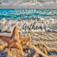 Summer Anthem Single