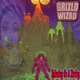 Spinning On a String A Griz Wiz Joint Single