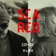 Scared Single