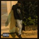 Estilo de Gang Gang feat Fleipe Single