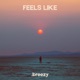 Feels Like Single