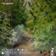 Nothin Wrong feat Doeboy Single
