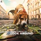 Look Around Single