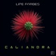 Caliandra Single
