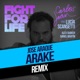Fight For Life Arake Rabbit Sound Remix feat Lucía Scansetti Alex Shaker Daniel Martín Single